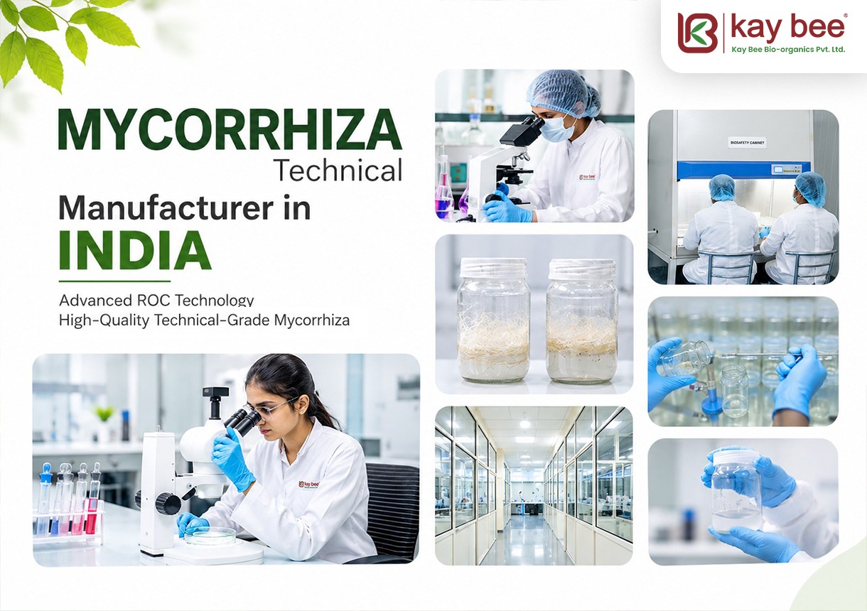 Customized OEM and private-label Mycorrhiza packaging solutions for fertilizer brands and exporters