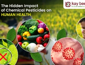 chemical pesticides