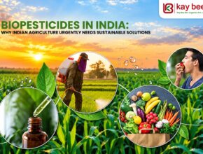 why india needs biopesticides in agriculture