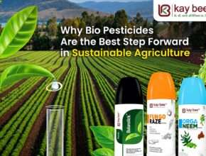 why the use of bio pesticides is the best step forward in agriculture in 2022 New