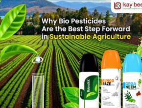why the use of bio pesticides is the best step forward in agriculture in 2022 New